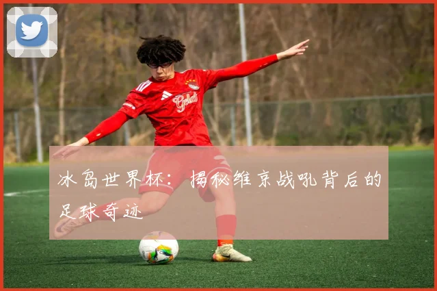 冰岛世界杯：揭秘维京战吼背后的足球奇迹