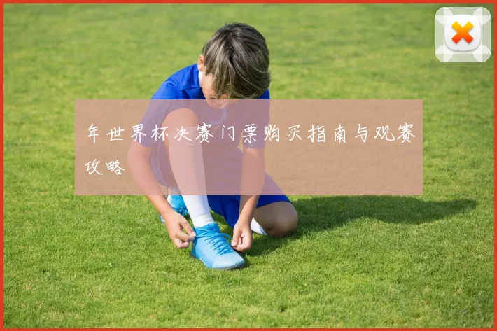 年世界杯决赛门票购买指南与观赛攻略
