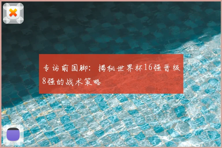 专访前国脚:揭秘世界杯16强晋级8强的战术策略