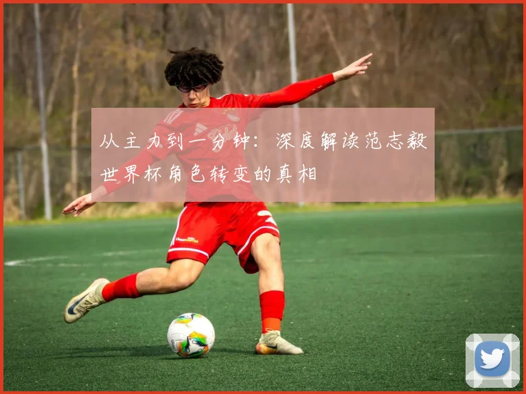 从主力到一分钟：深度解读范志毅世界杯角色转变的真相