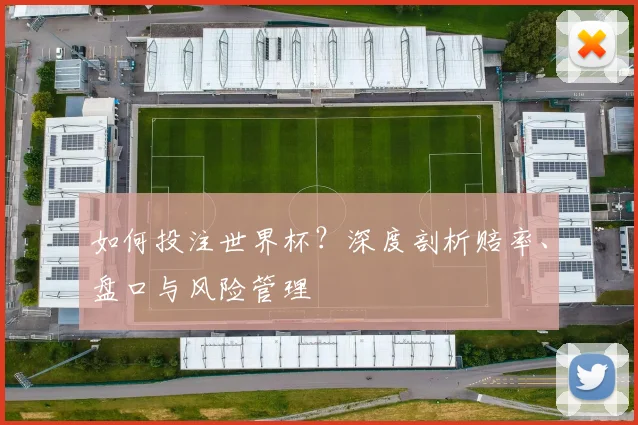 如何投注世界杯?深度剖析赔率、盘口与风险管理