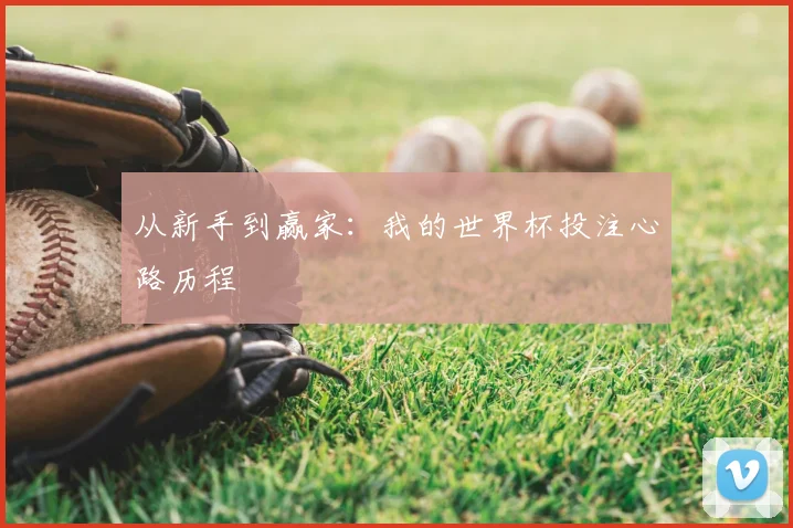 从新手到赢家：我的世界杯投注心路历程