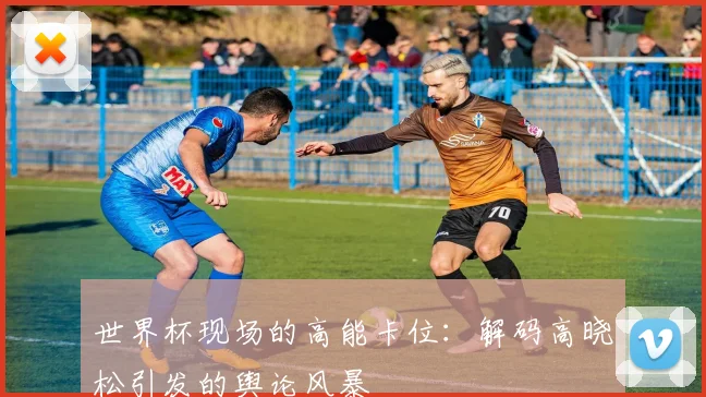 世界杯现场的高能卡位:解码高晓松引发的舆论风暴