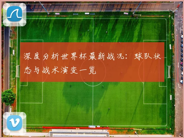 深度分析世界杯最新战况：球队状态与战术演变一览