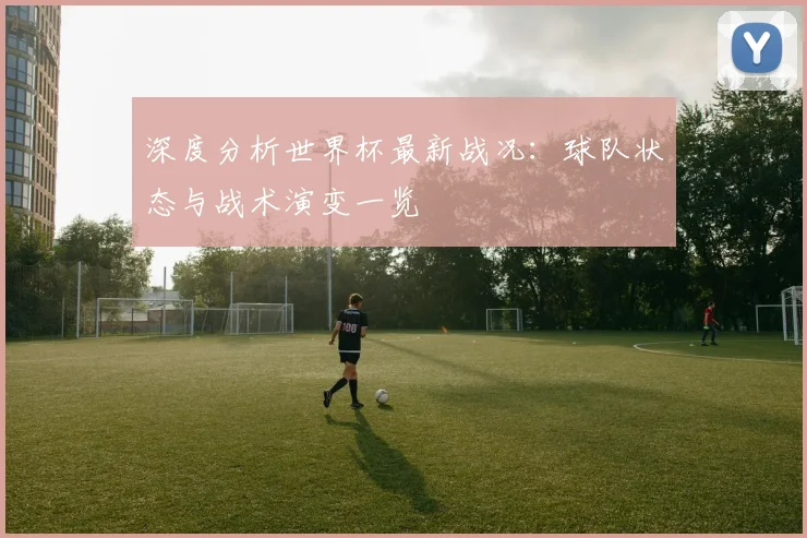深度分析世界杯最新战况：球队状态与战术演变一览
