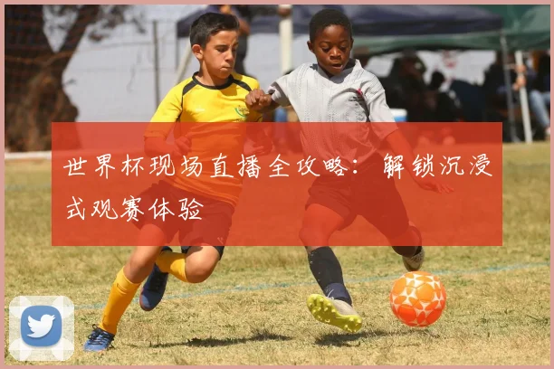 世界杯现场直播全攻略：解锁沉浸式观赛体验
