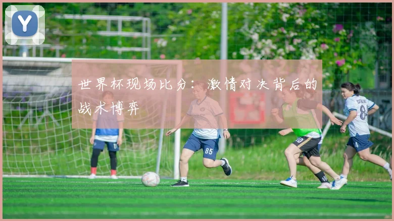 世界杯现场比分：激情对决背后的战术博弈