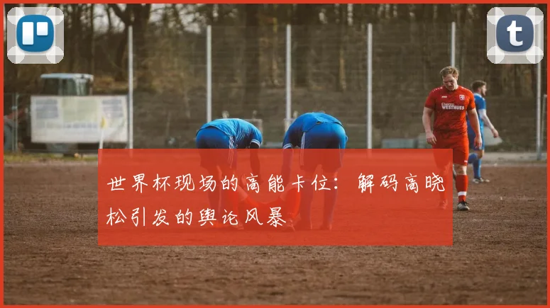 世界杯现场的高能卡位:解码高晓松引发的舆论风暴