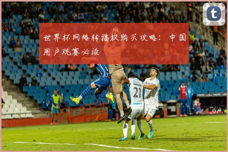 世界杯网络转播权购买攻略:中国用户观赛必读